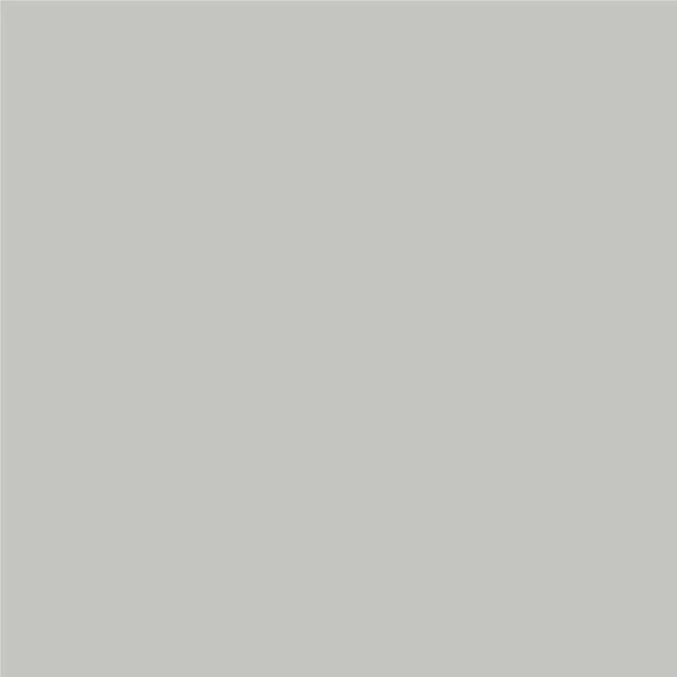ASLAN® PremiumColor™ C118 Suave