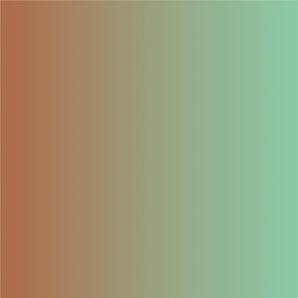 ASLAN® SE 71 Vinyle ColorShift