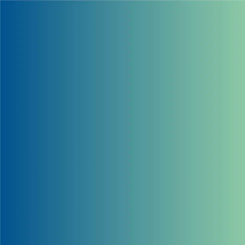 ASLAN® SE 71 Vinyle ColorShift