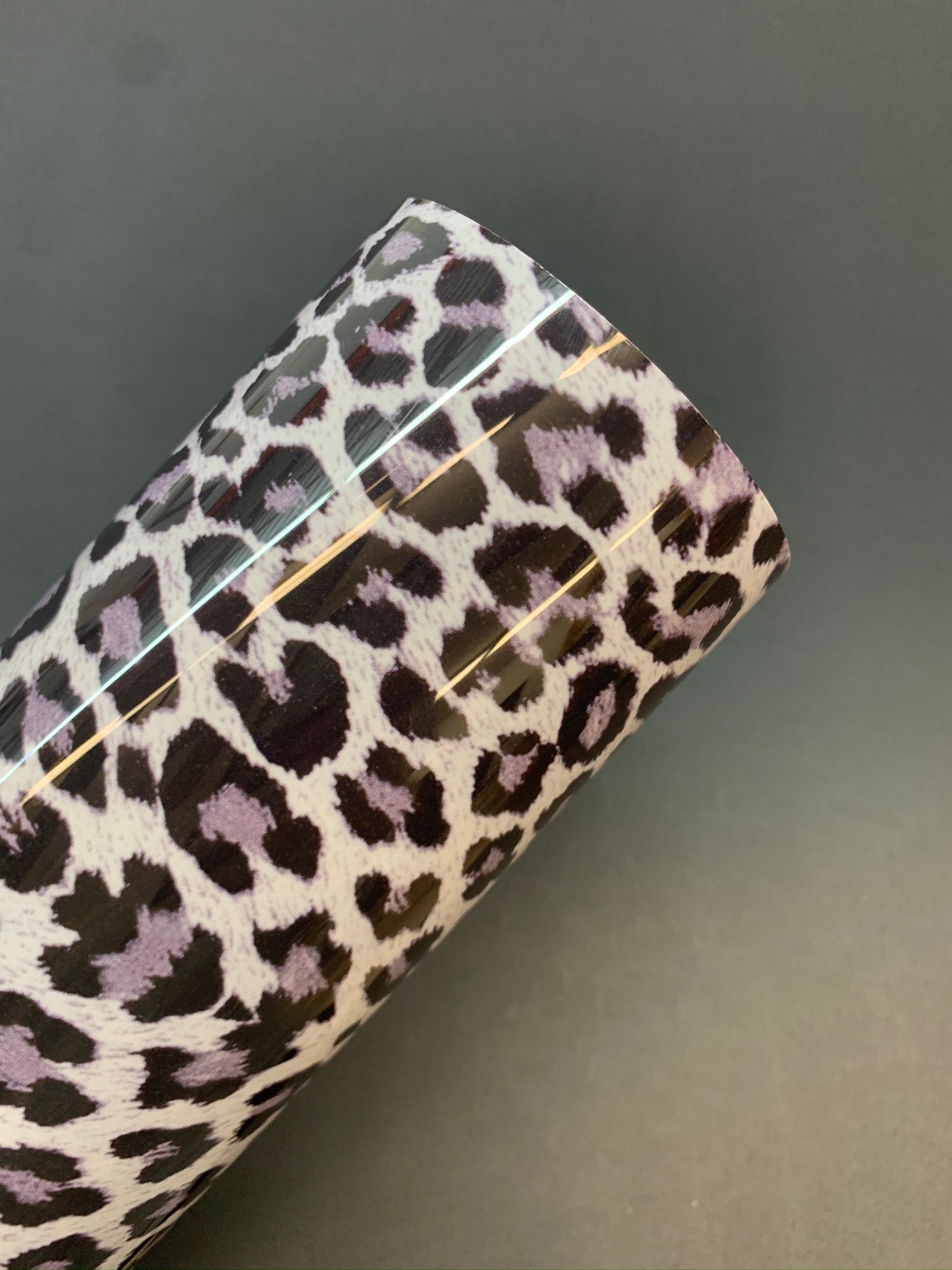 Leopardo de las nieves HTV